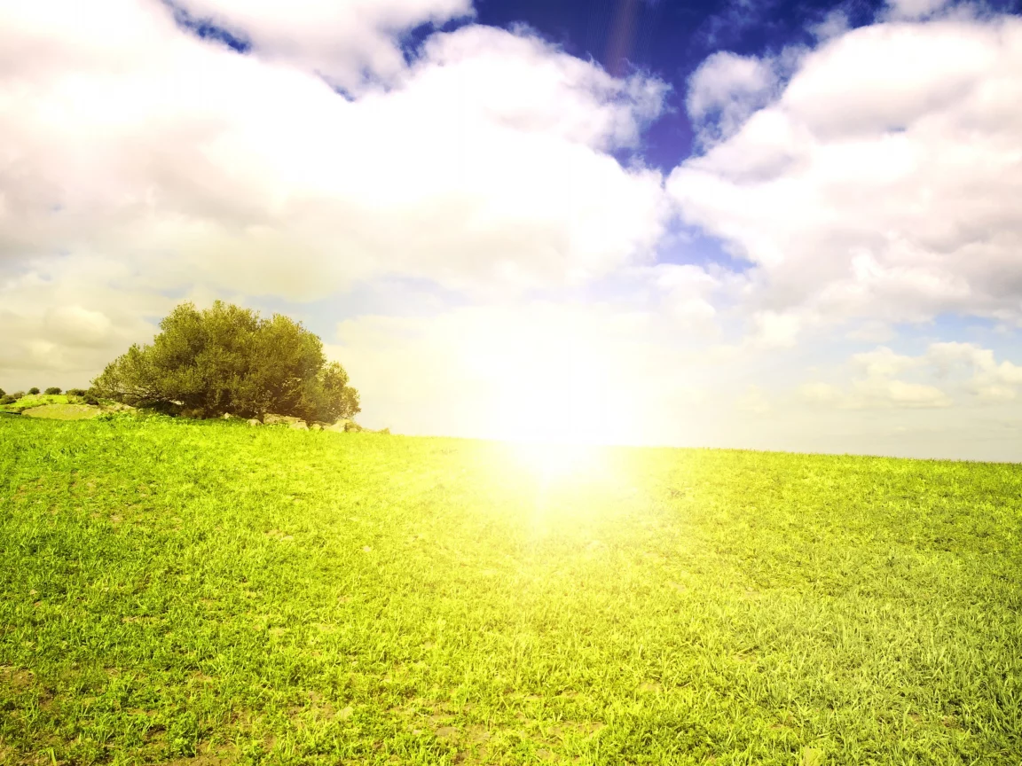 green scenery, жаркое, поле, небо, beautiful clouds, лето, солнце, облака, пейзаж, summer sun, field landscape, grass, природа, трава, nature outside, горизонт