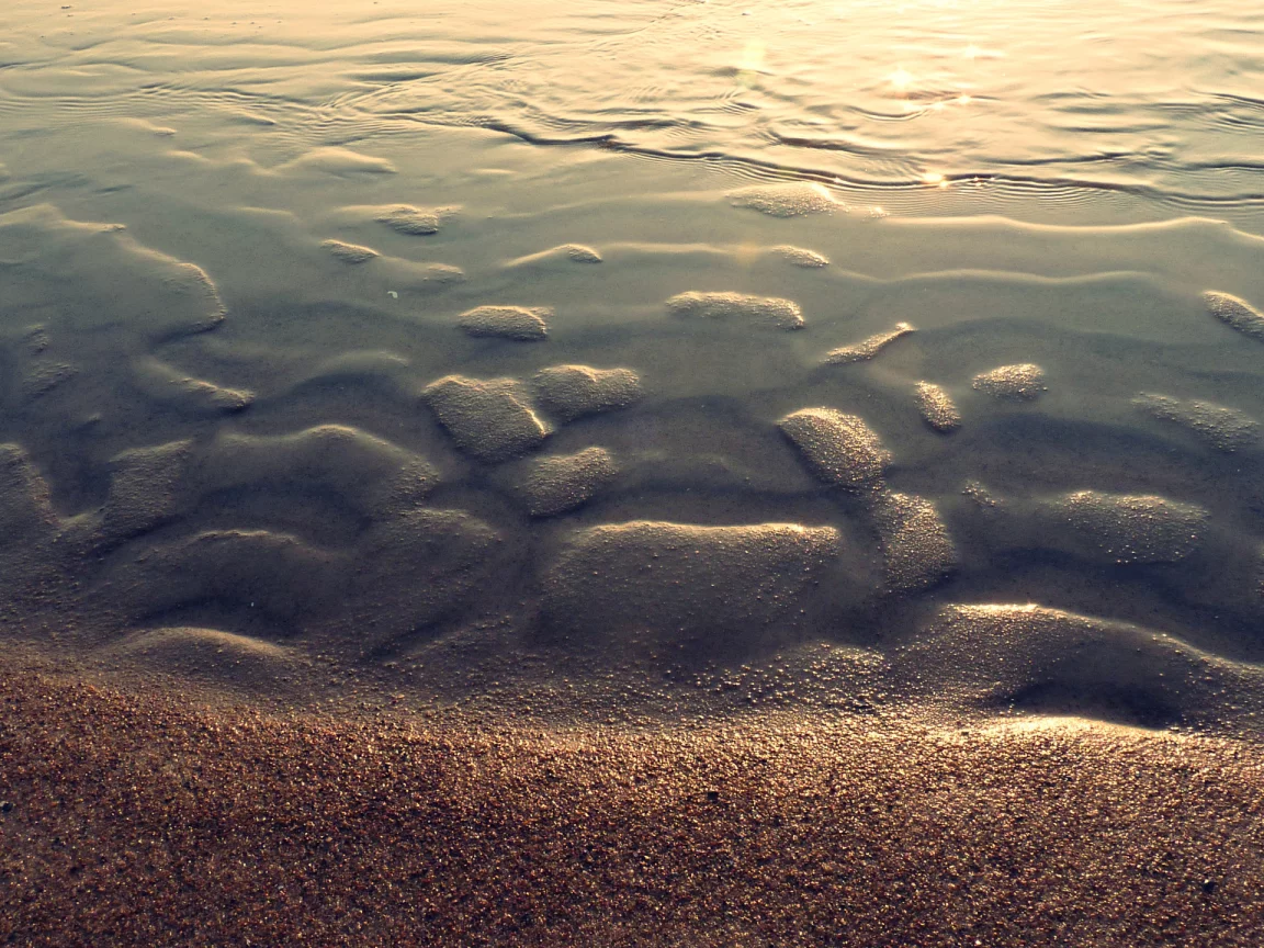 блики, берег, вода, море, лето, пляж, песок