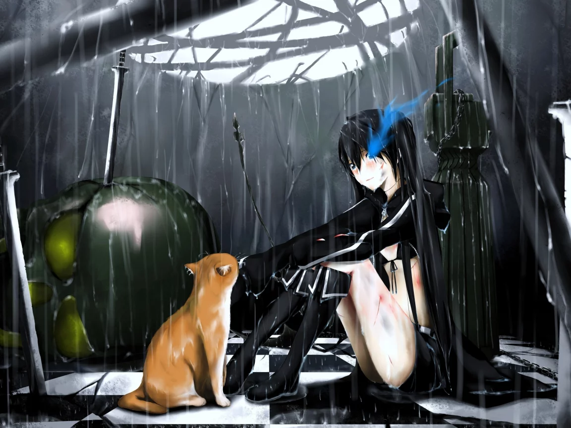 mato kuroi, оружие, кошка, череп, дождь, black rock shooter, кот, девушка, меч