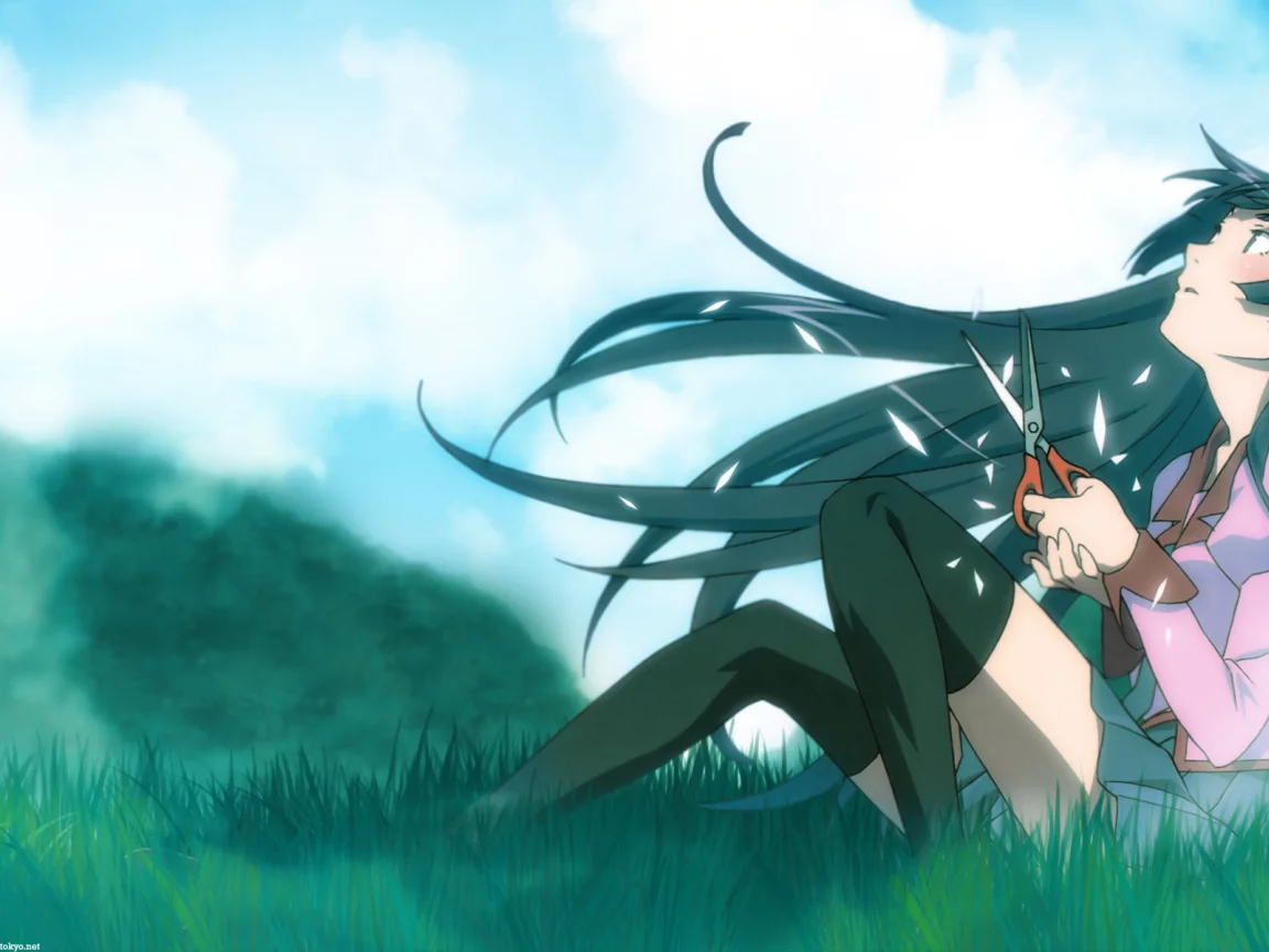 небо, ножницы, bakemonogatari, хитаги сэндзёгахара, истории монстров