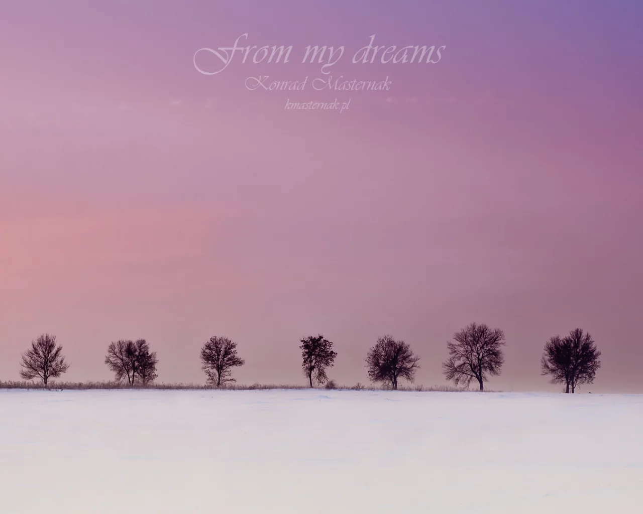 from my dreams, деревья, зима