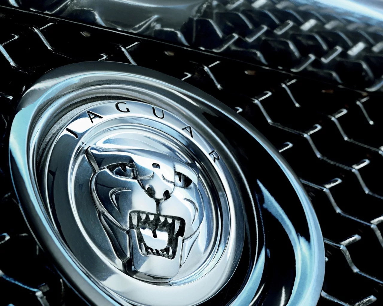 авто, jaguar, логотип
