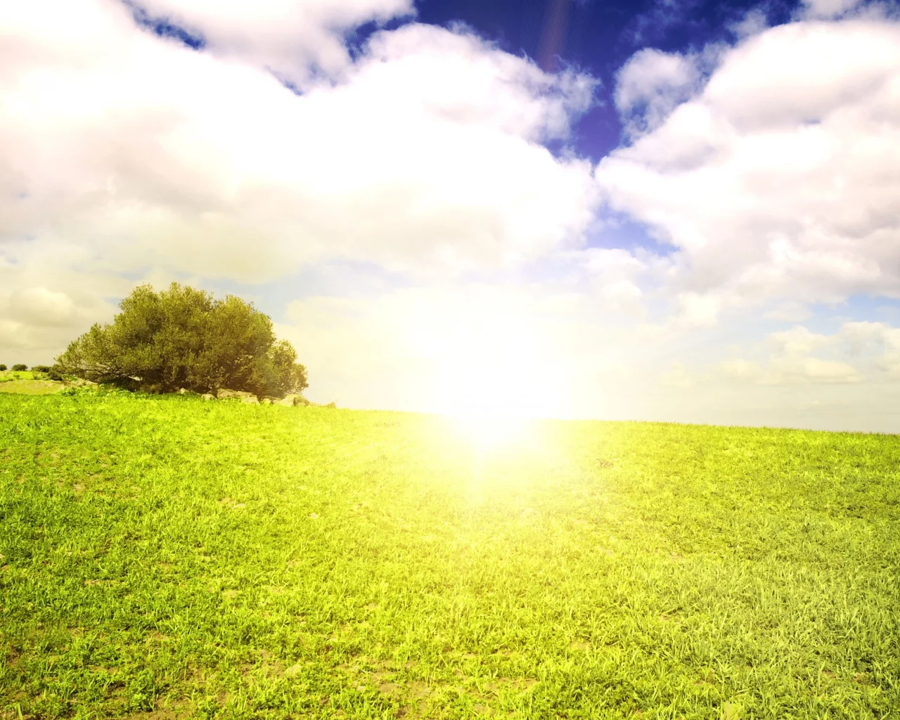 green scenery, жаркое, поле, небо, beautiful clouds, лето, солнце, облака, пейзаж, summer sun, field landscape, grass, природа, трава, nature outside, горизонт