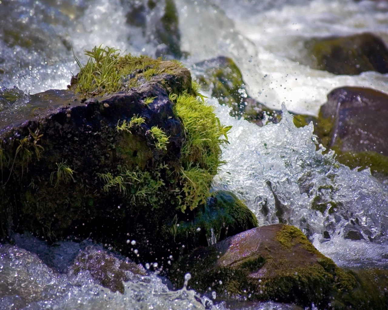 пейзаж, природа, вода, мох, брызги, камни, капли