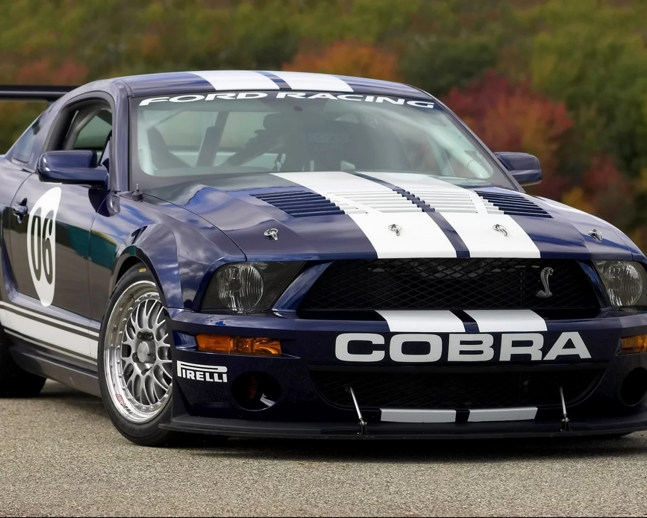 mustang, cars, auto wallpapers, fr500-gt, muscle car, авто фото, кобра, авто обои, cobra, форд, мустанг, ford, тачки