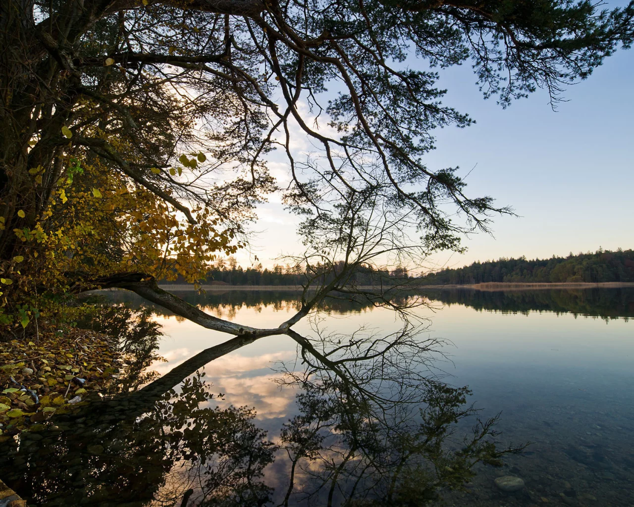 вода, отражение, shore, trees, небо, water, берег, природа, forest, деревья, 1920x1200, sky, лес, lake, nature, пейзаж, озеро, landscape, reflection