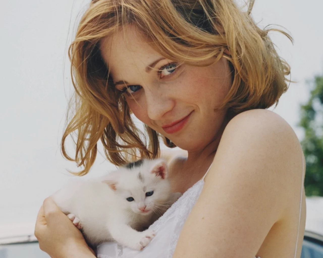 kitten, zooey deschanel, зои (зоуи) дешанель, actress