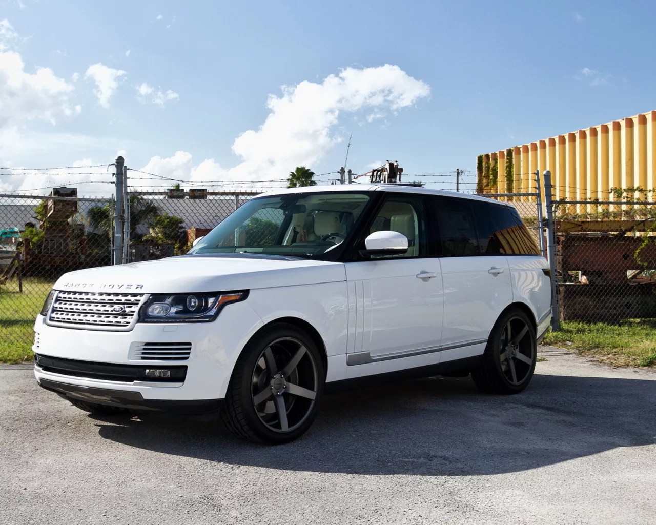 авто, машины, Range Rover