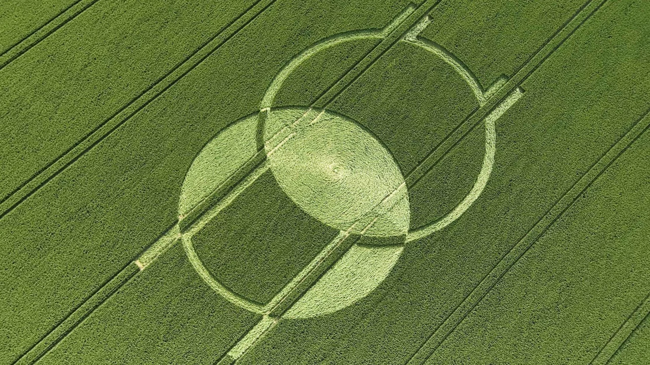 круги, нло, поле