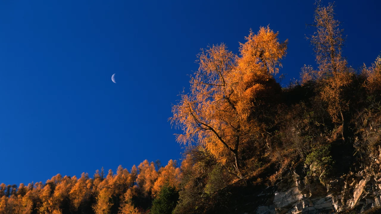осень, скалы, autumn