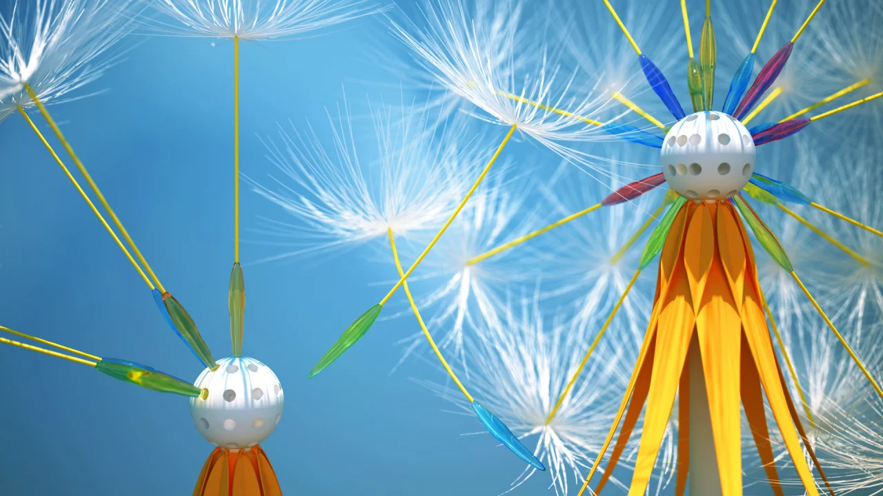 dandelion seeds, летает, одуваньчик