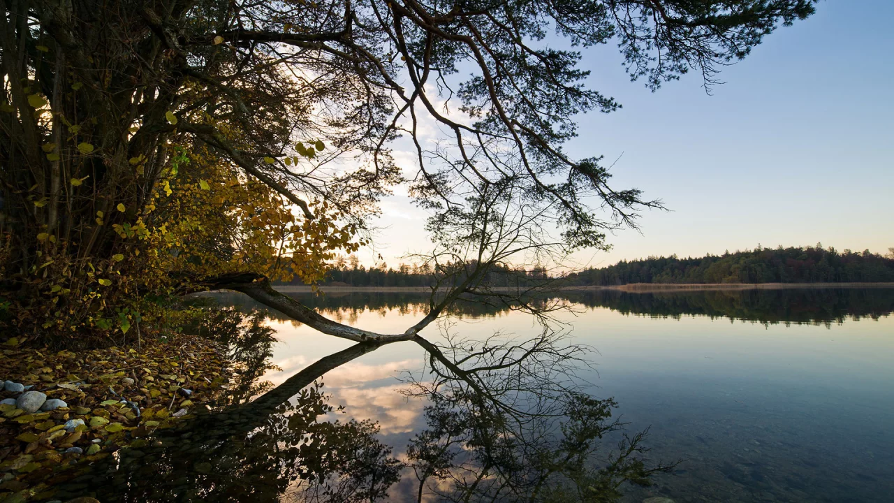вода, отражение, shore, trees, небо, water, берег, природа, forest, деревья, 1920x1200, sky, лес, lake, nature, пейзаж, озеро, landscape, reflection