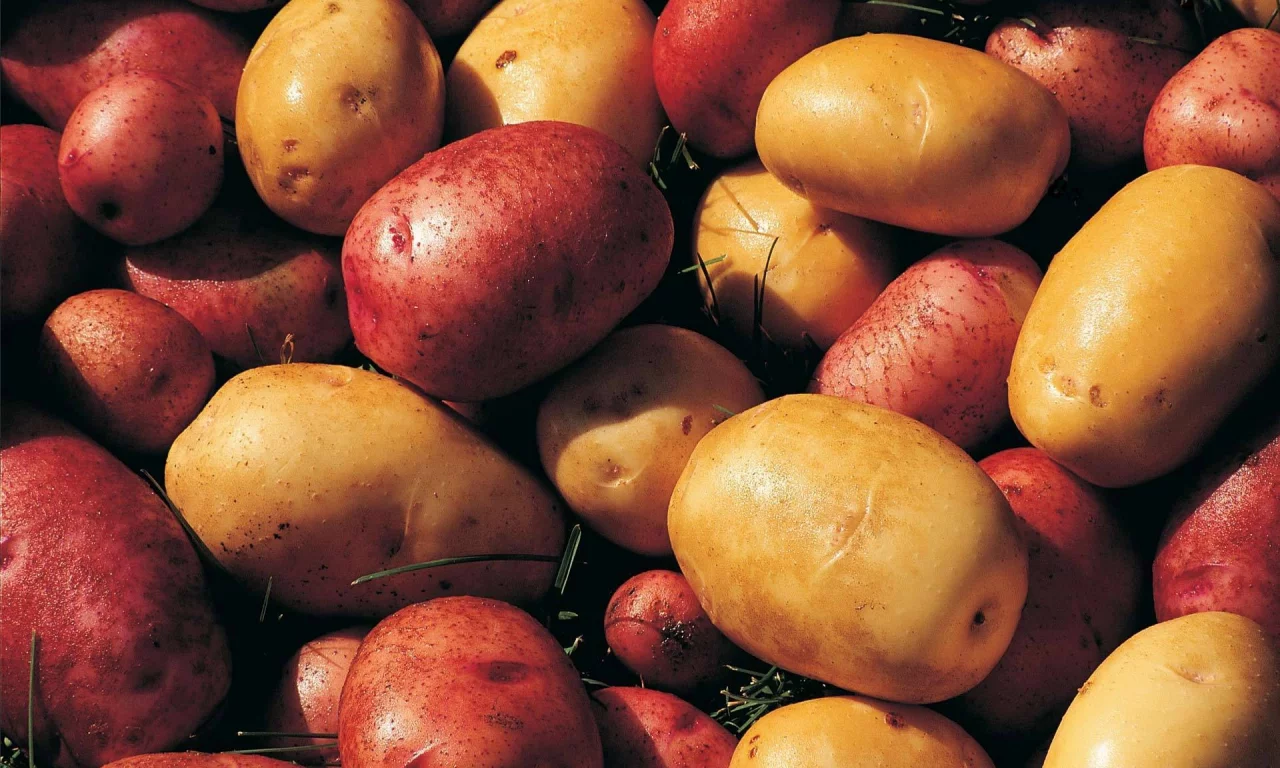 фон, potatoes, картофель
