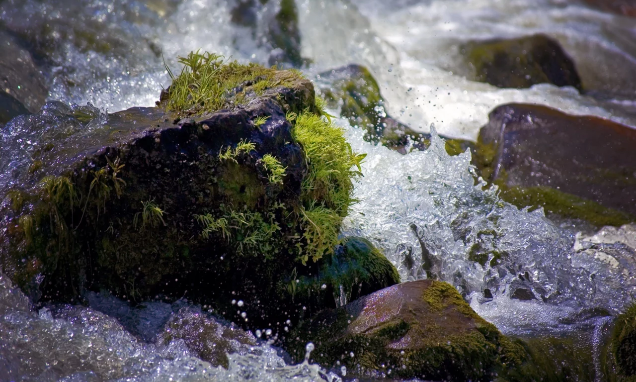 пейзаж, природа, вода, мох, брызги, камни, капли
