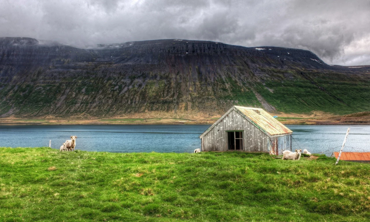 north atlantic, island, nobody needs dramatic sheep