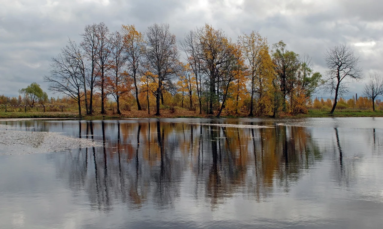 лес, вода, осень, отражение, речка, деревья, небо