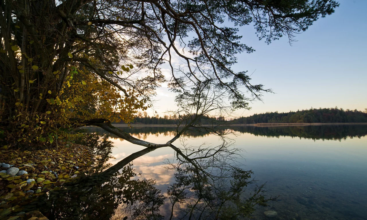 вода, отражение, shore, trees, небо, water, берег, природа, forest, деревья, 1920x1200, sky, лес, lake, nature, пейзаж, озеро, landscape, reflection