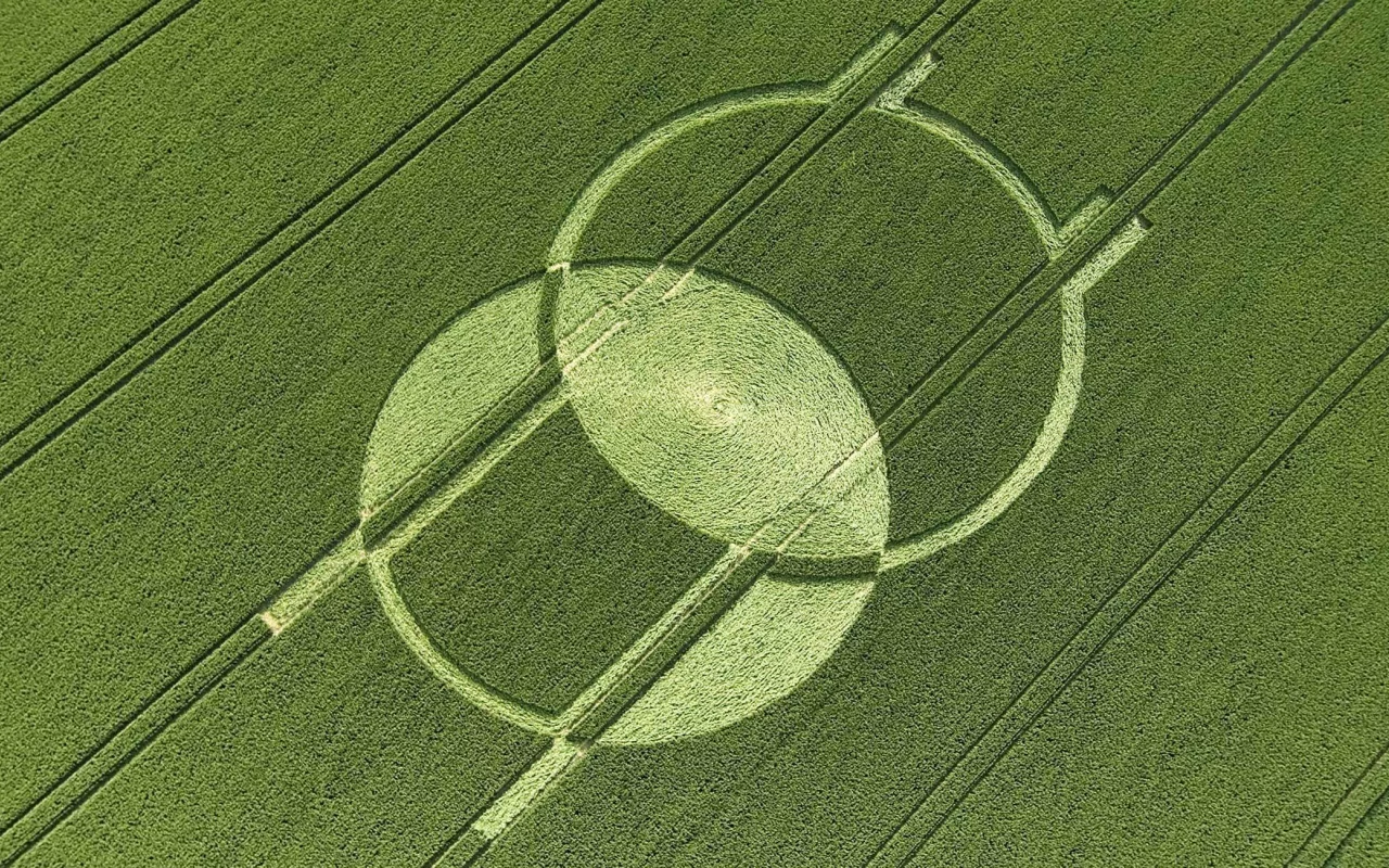 круги, нло, поле