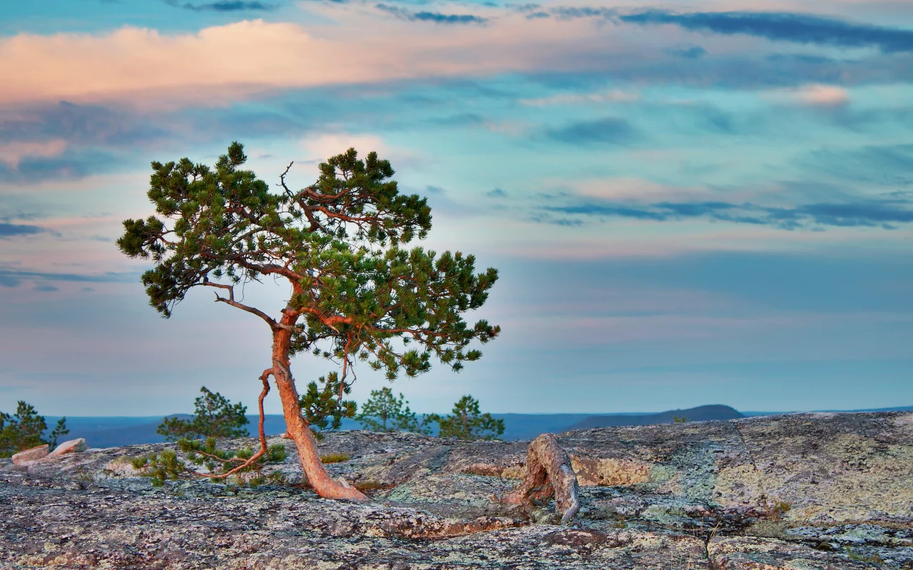 пейзаж, rocks, tree, камни, sky, небо, nature, природа, landscape, дерево, clouds, 2560x1600, облака