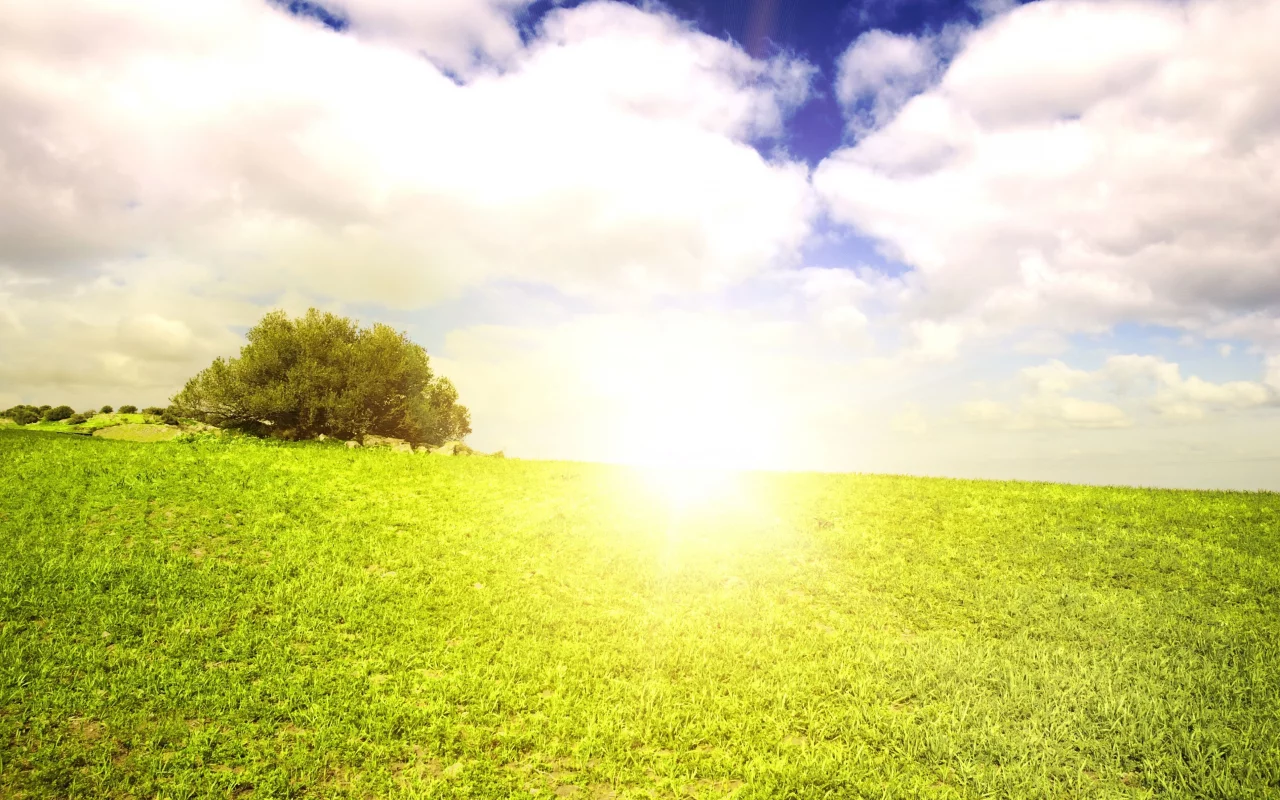 green scenery, жаркое, поле, небо, beautiful clouds, лето, солнце, облака, пейзаж, summer sun, field landscape, grass, природа, трава, nature outside, горизонт