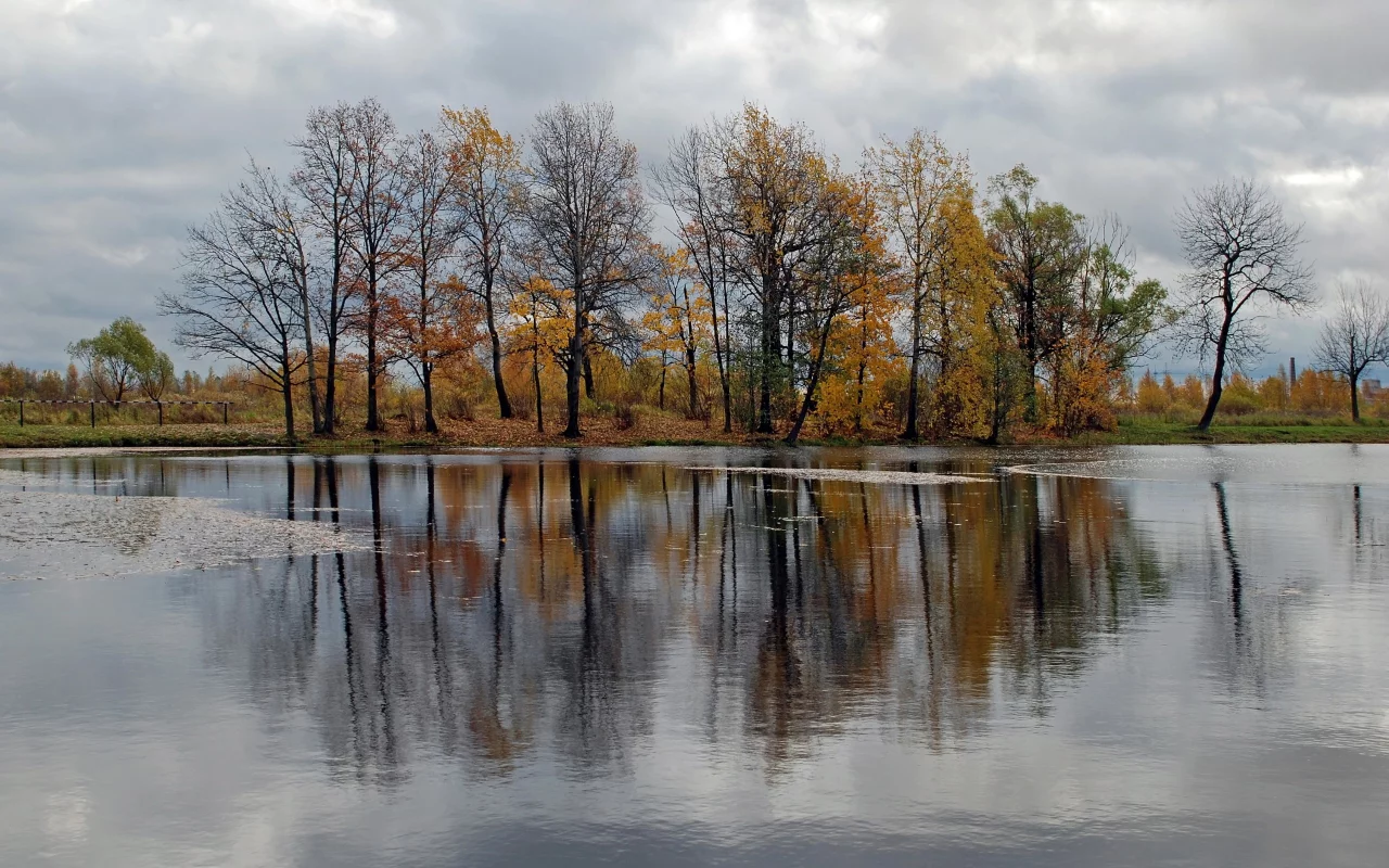 лес, вода, осень, отражение, речка, деревья, небо