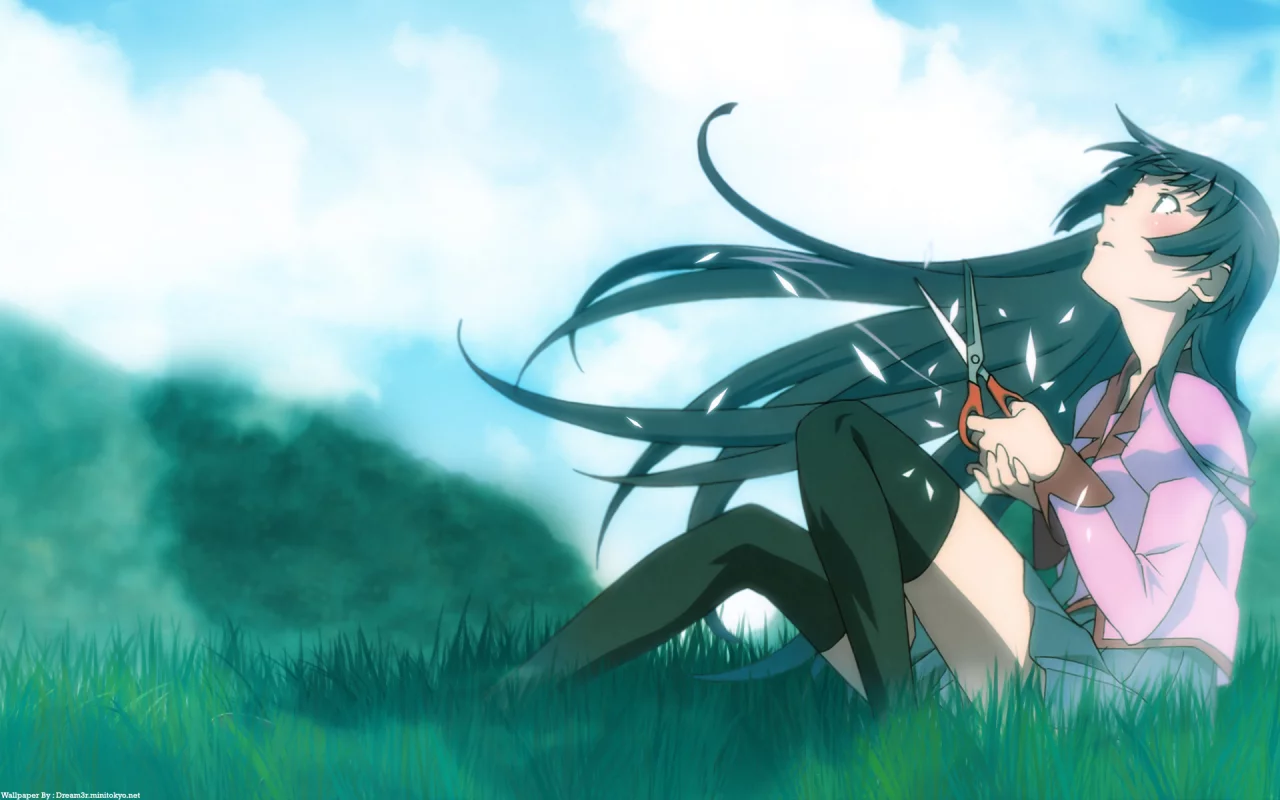 небо, ножницы, bakemonogatari, хитаги сэндзёгахара, истории монстров