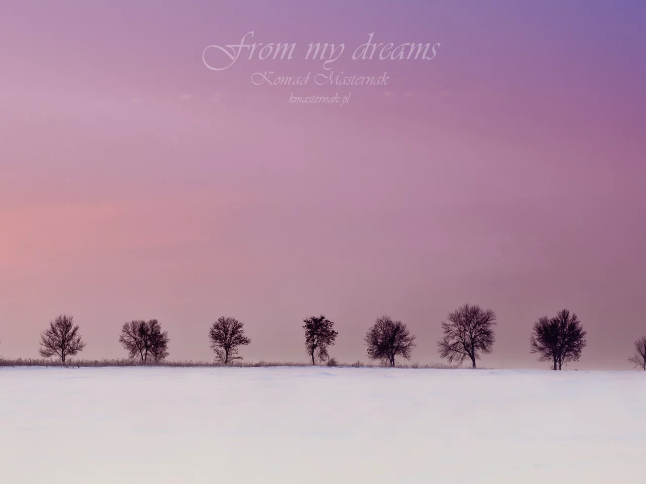 from my dreams, деревья, зима