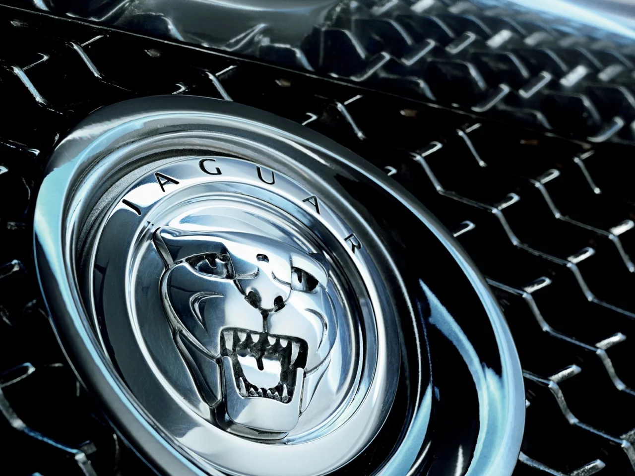 авто, jaguar, логотип