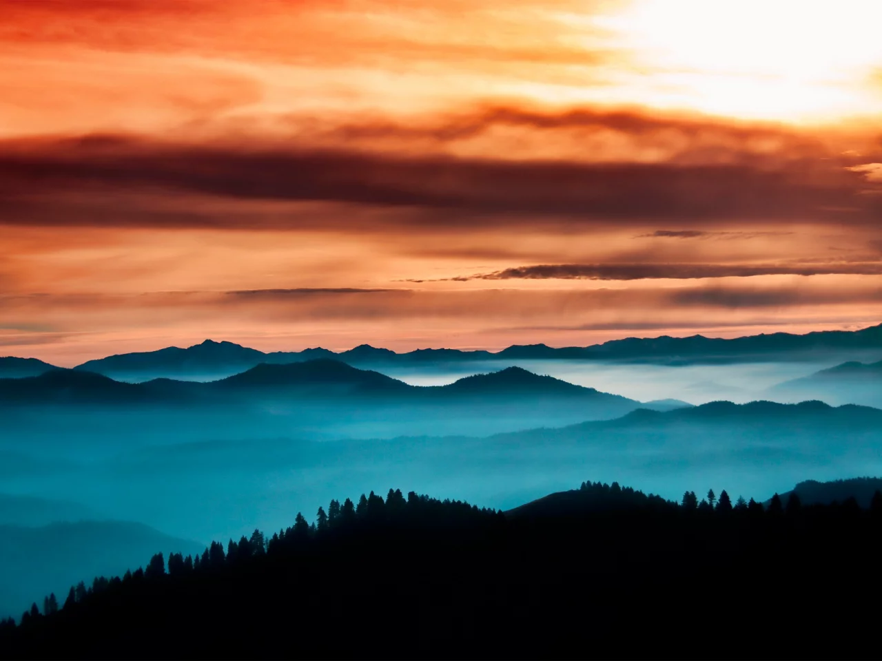 лес, туман, thoughful horizon, небо