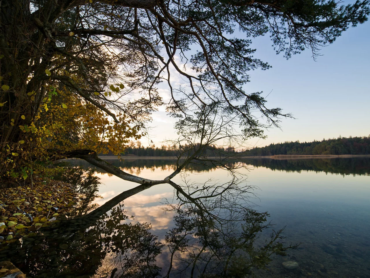 вода, отражение, shore, trees, небо, water, берег, природа, forest, деревья, 1920x1200, sky, лес, lake, nature, пейзаж, озеро, landscape, reflection
