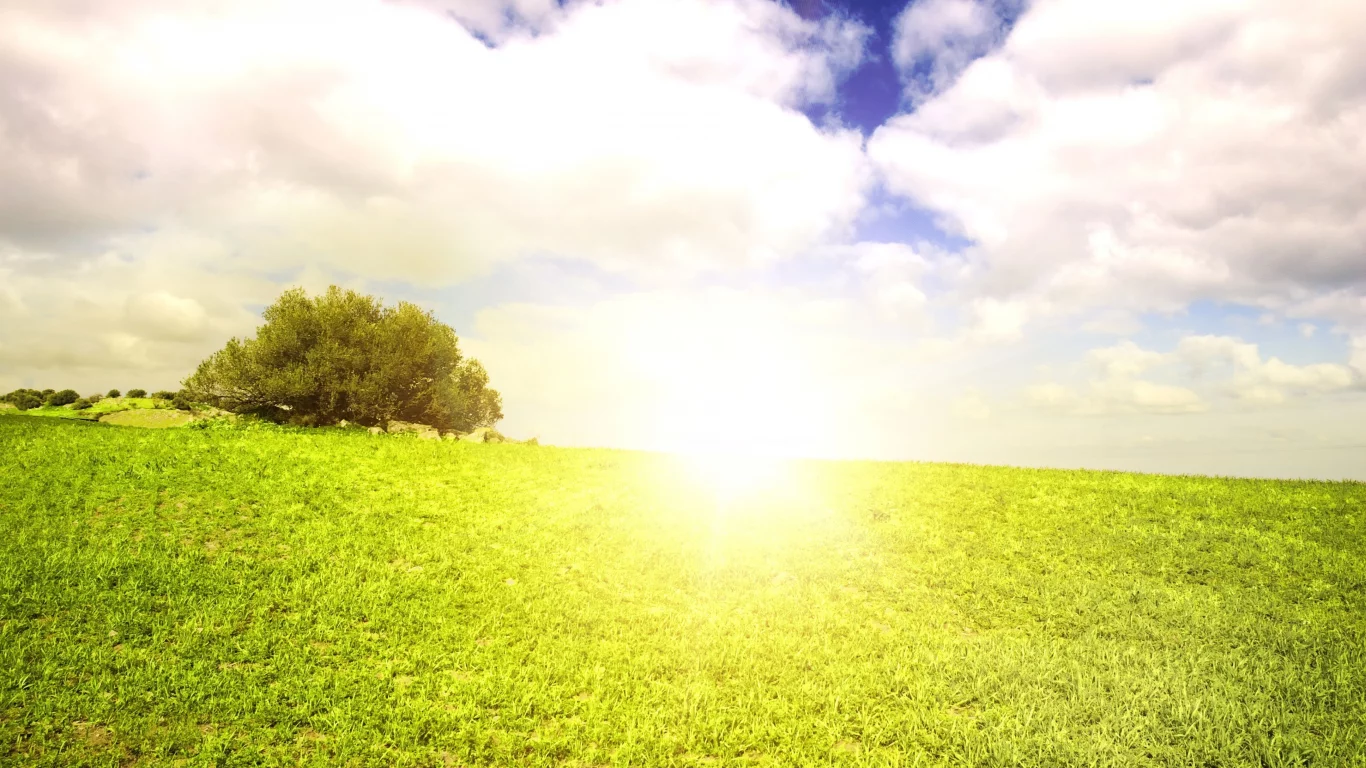 green scenery, жаркое, поле, небо, beautiful clouds, лето, солнце, облака, пейзаж, summer sun, field landscape, grass, природа, трава, nature outside, горизонт