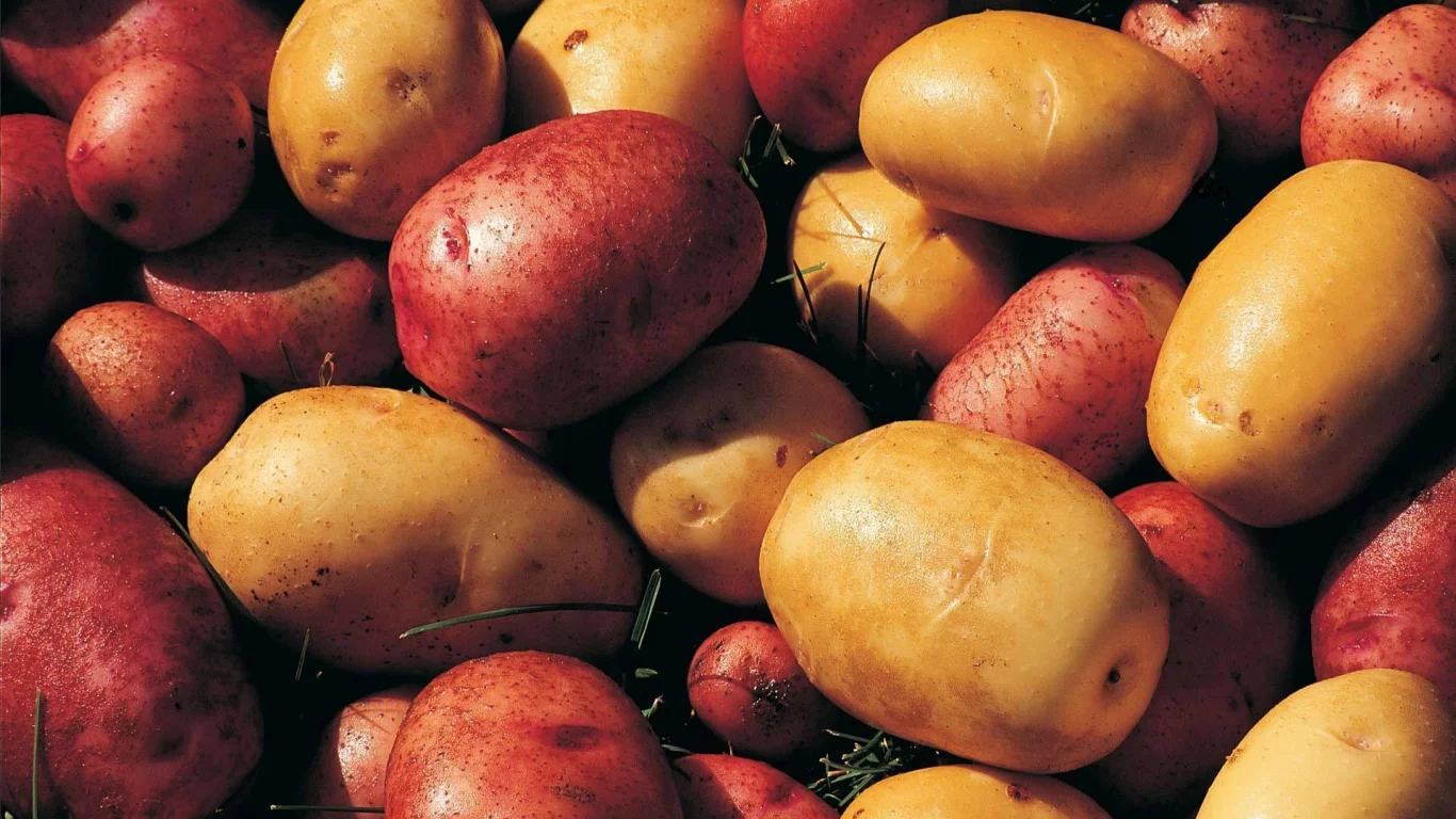 фон, potatoes, картофель