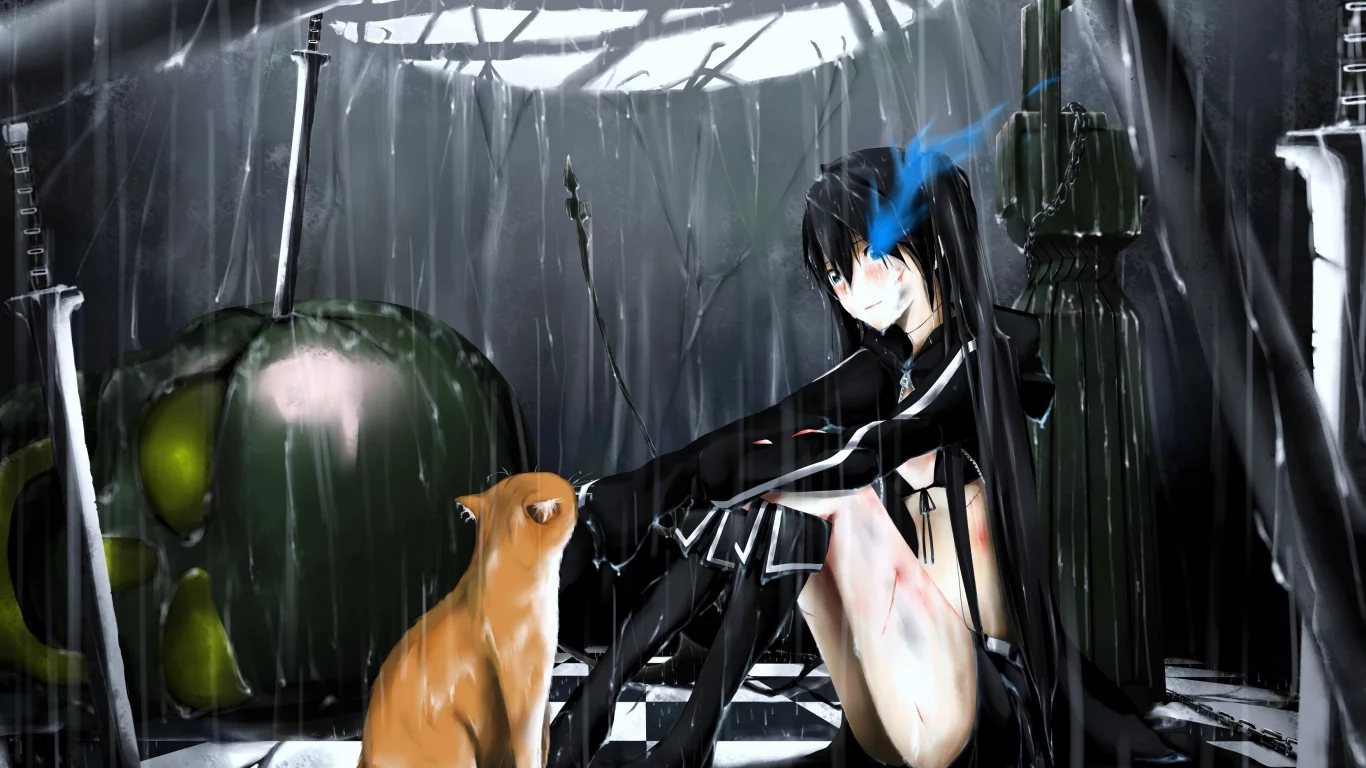 mato kuroi, оружие, кошка, череп, дождь, black rock shooter, кот, девушка, меч