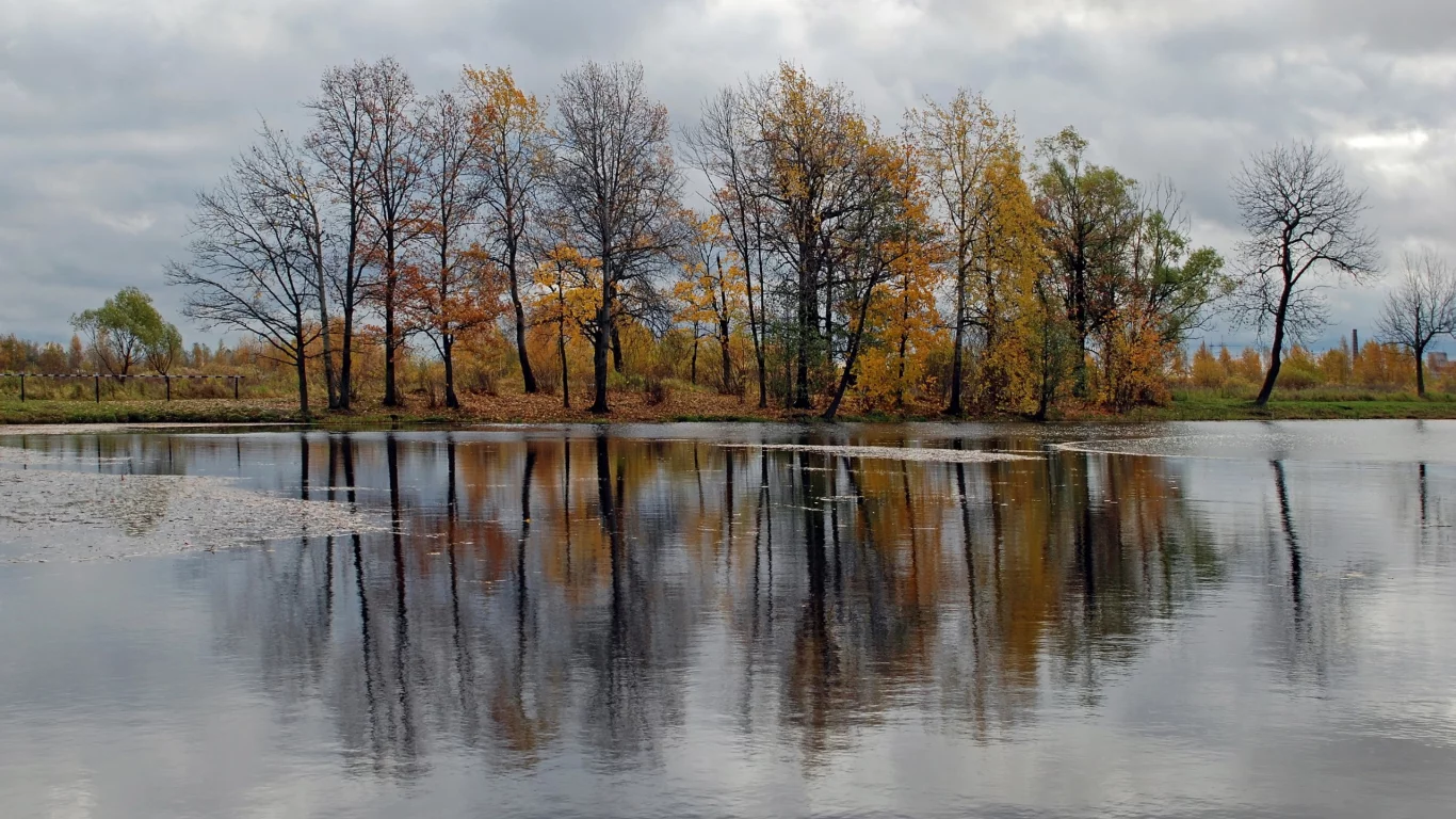 лес, вода, осень, отражение, речка, деревья, небо
