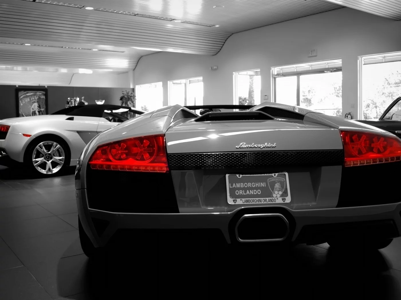 auto, lamborghini, автосолон, orlando