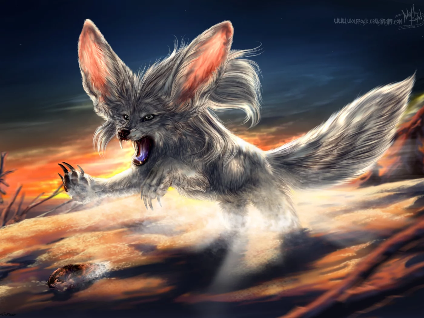 охота, fennec fox, пустынный лис, фенёк, hunt