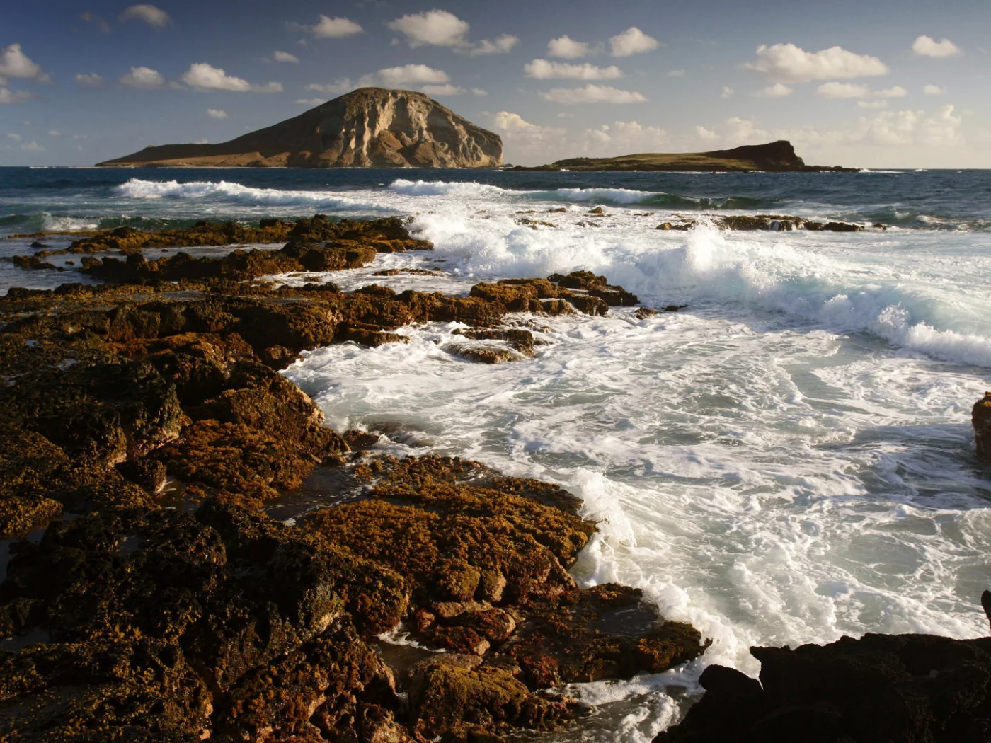 волны, море, скалы, брызги, пена, камни, морская, природа