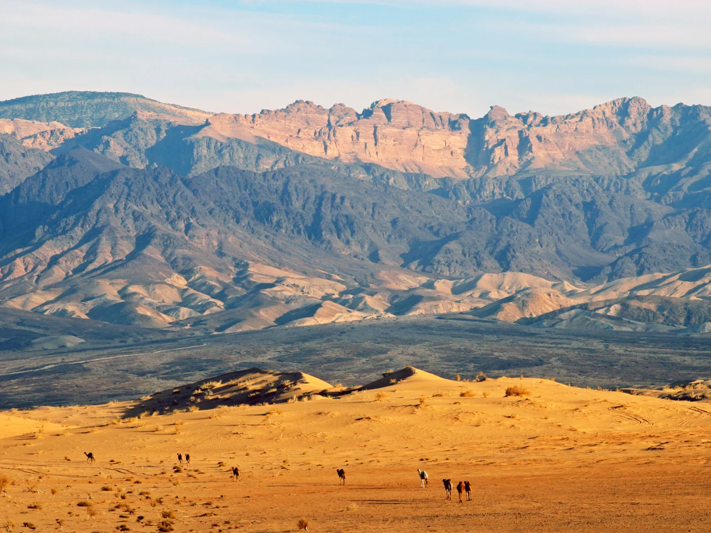 верблюды, пустыня, jordan, горы, иордания