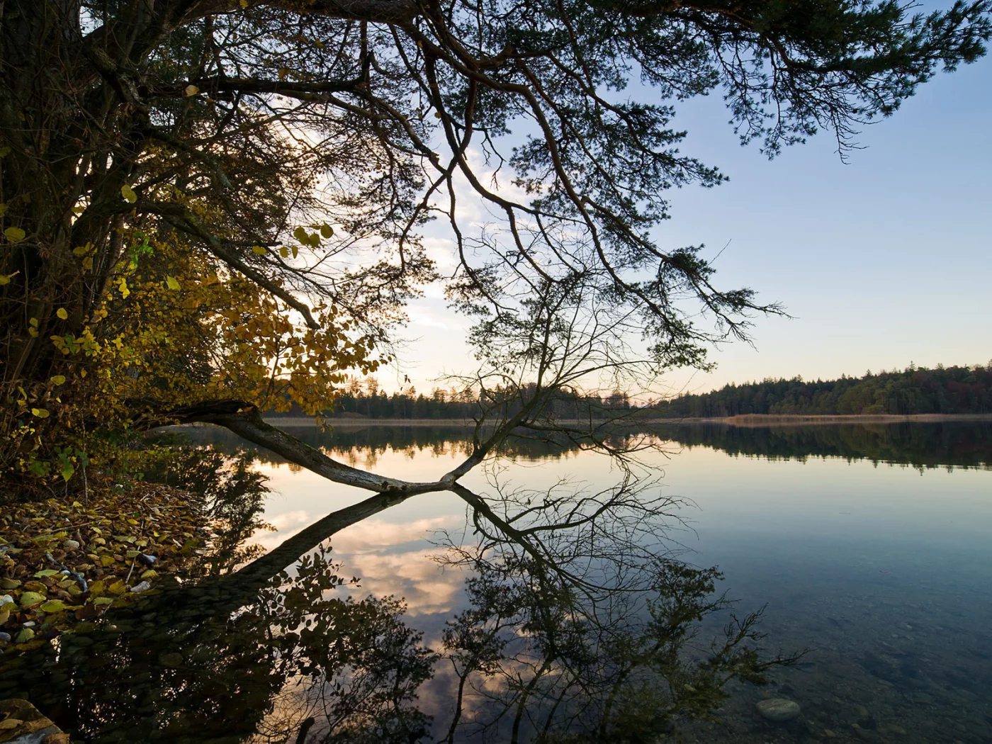 вода, отражение, shore, trees, небо, water, берег, природа, forest, деревья, 1920x1200, sky, лес, lake, nature, пейзаж, озеро, landscape, reflection