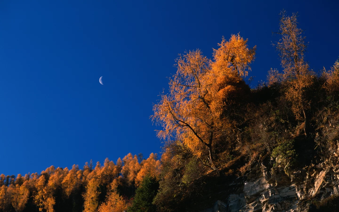 осень, скалы, autumn