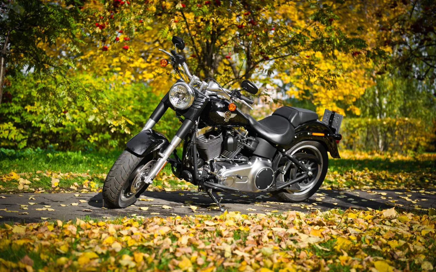 special, harley-davidson, fat boy