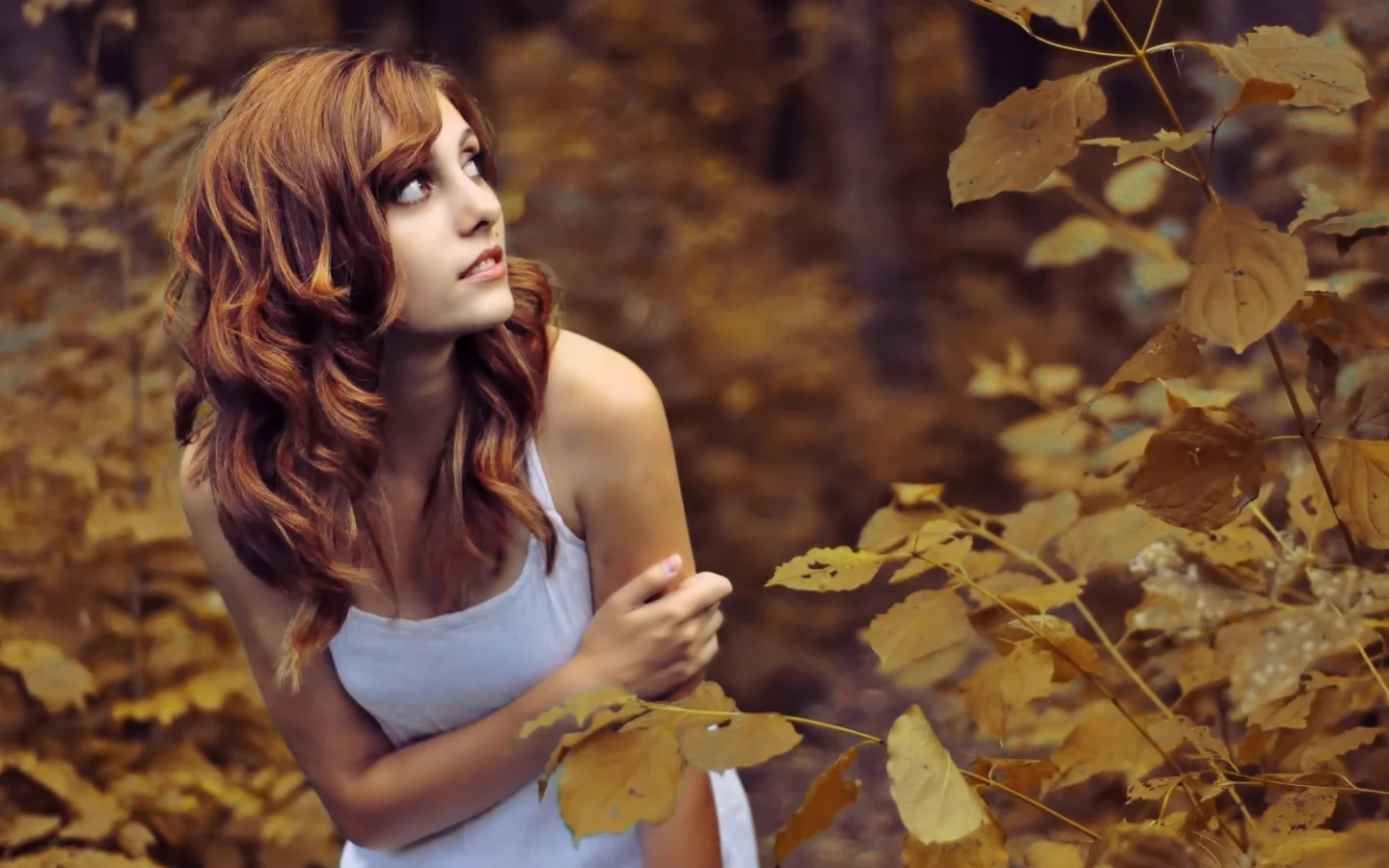 листья, leaves, волосы, осень, девушка, холодно, girl, nature, взгляд, природа, маечка, белая, autumn