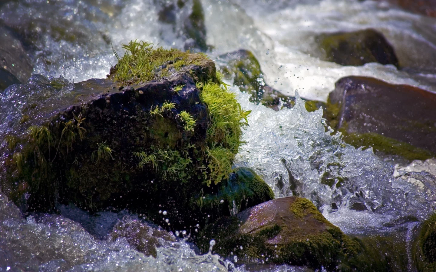 пейзаж, природа, вода, мох, брызги, камни, капли