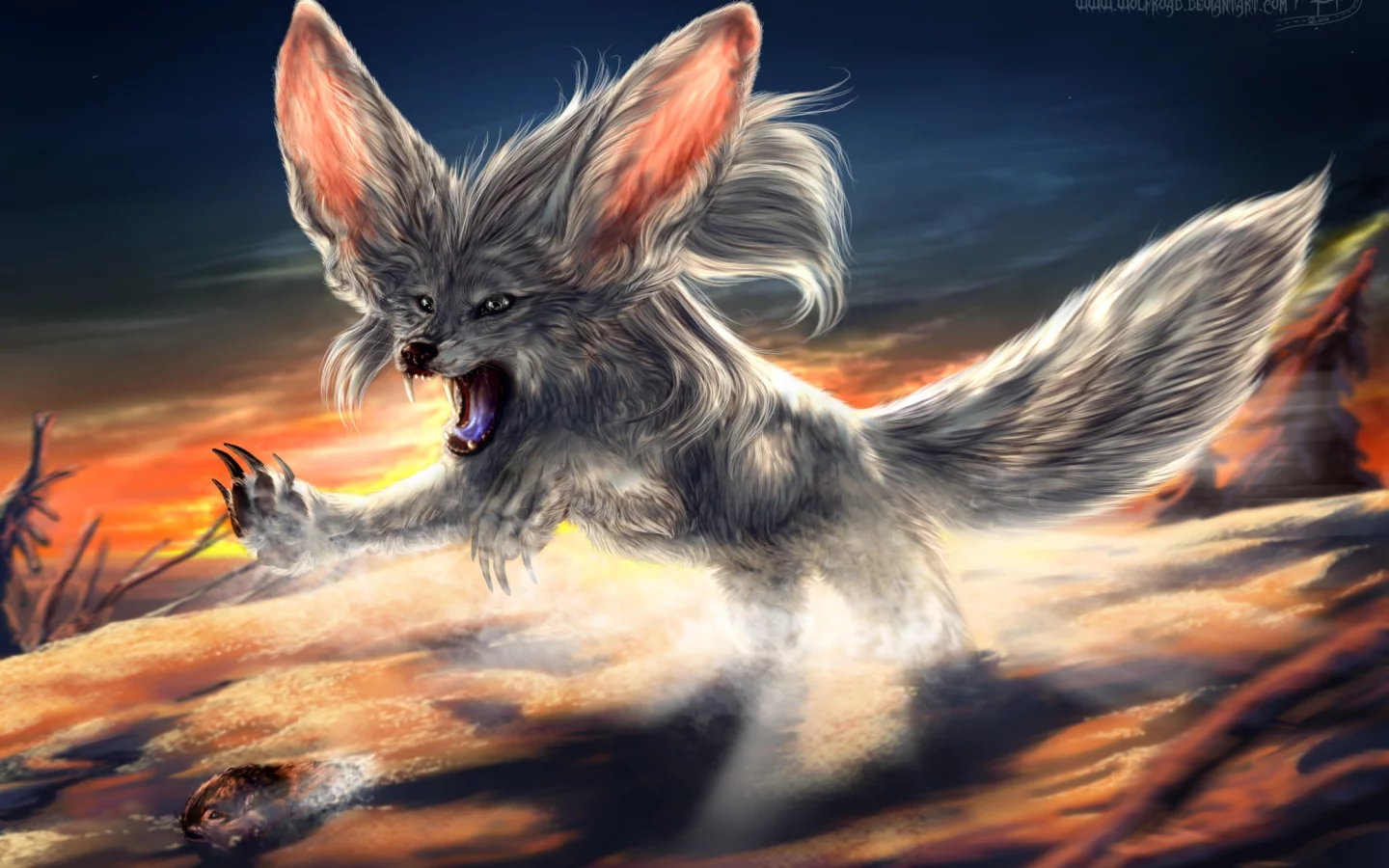 охота, fennec fox, пустынный лис, фенёк, hunt