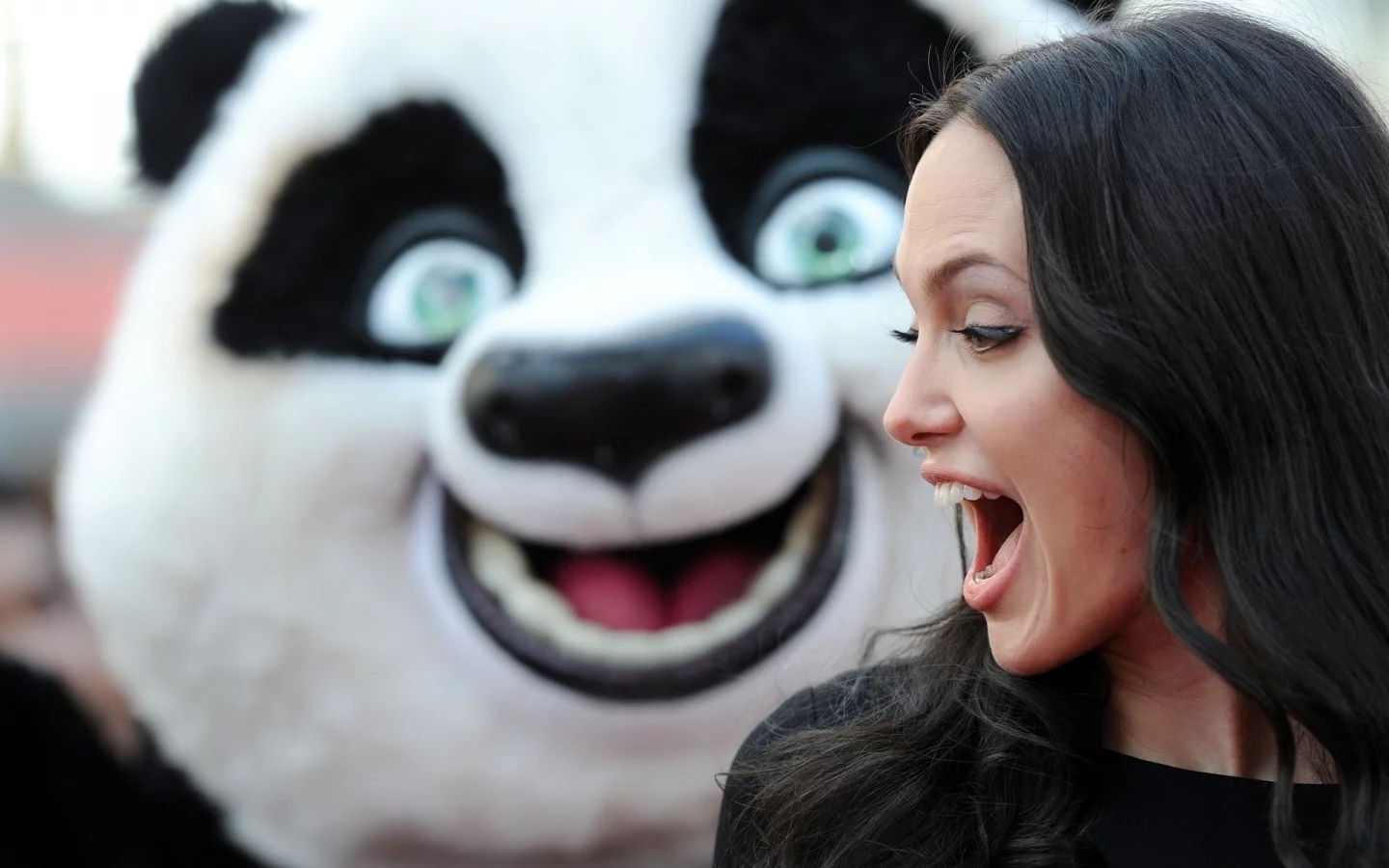 девушка, улыбка, kung-fu panda, анджелина джоли, актриса, angelina jolie, кунг-фу панда, волосы
