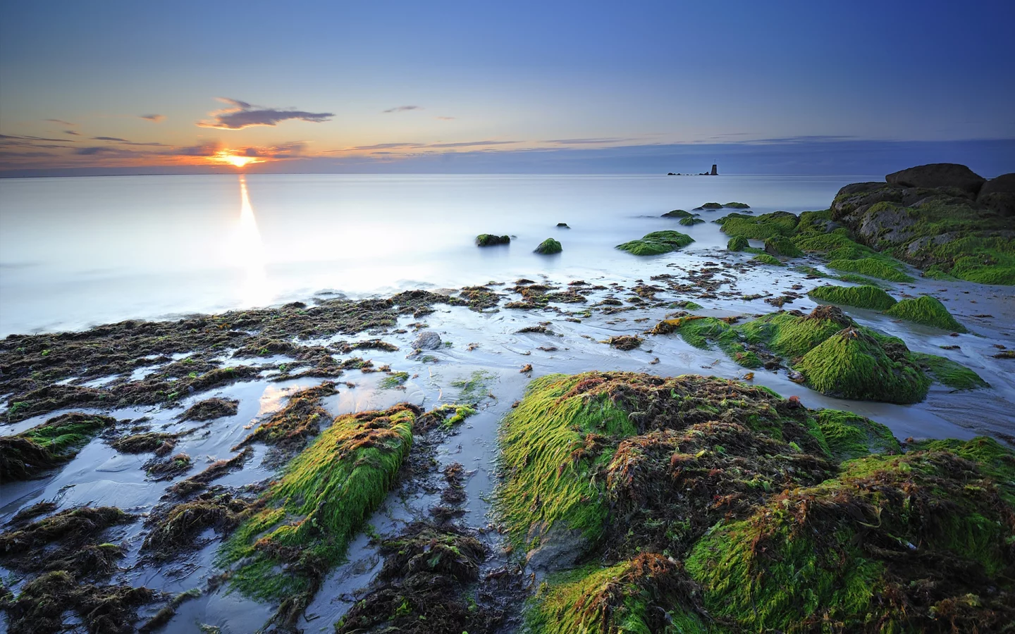 камни, дымка, водоросли, франция, побережье, море