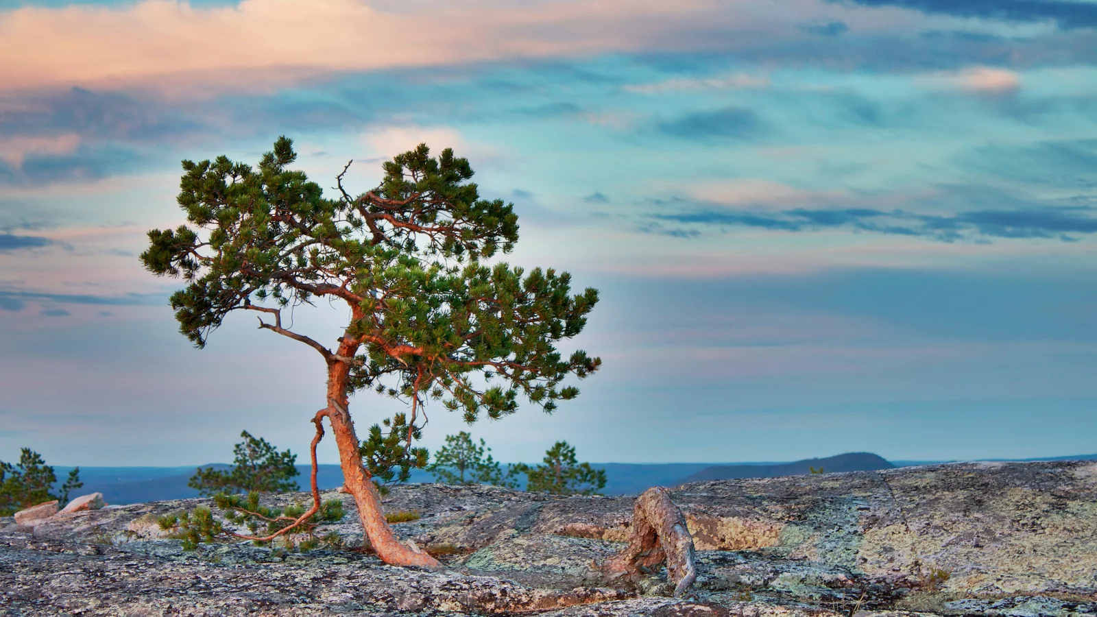 пейзаж, rocks, tree, камни, sky, небо, nature, природа, landscape, дерево, clouds, 2560x1600, облака