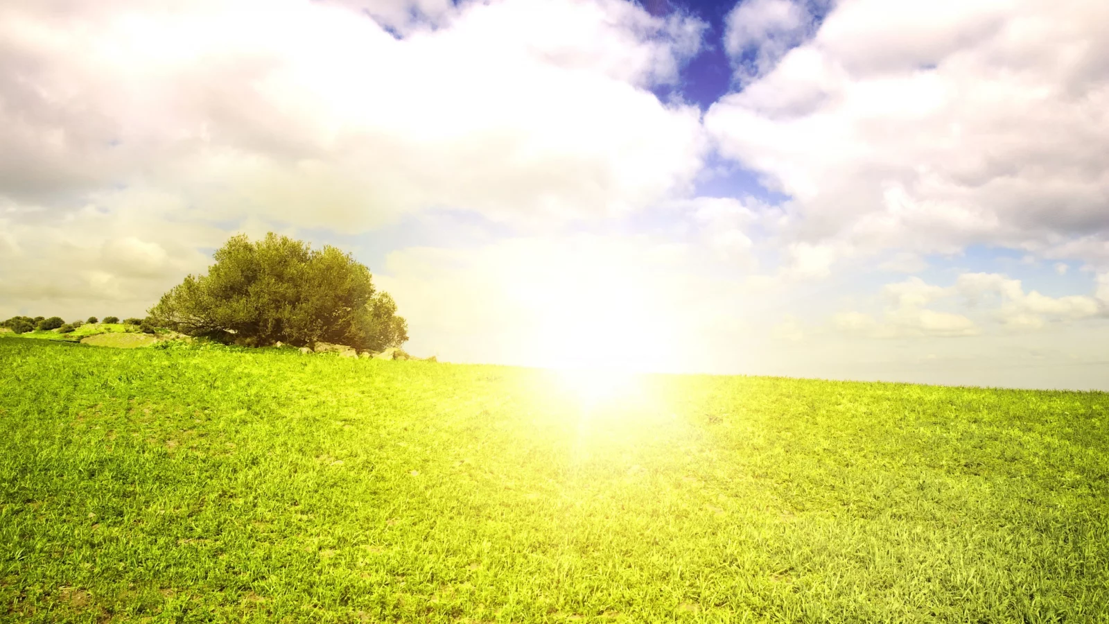 green scenery, жаркое, поле, небо, beautiful clouds, лето, солнце, облака, пейзаж, summer sun, field landscape, grass, природа, трава, nature outside, горизонт