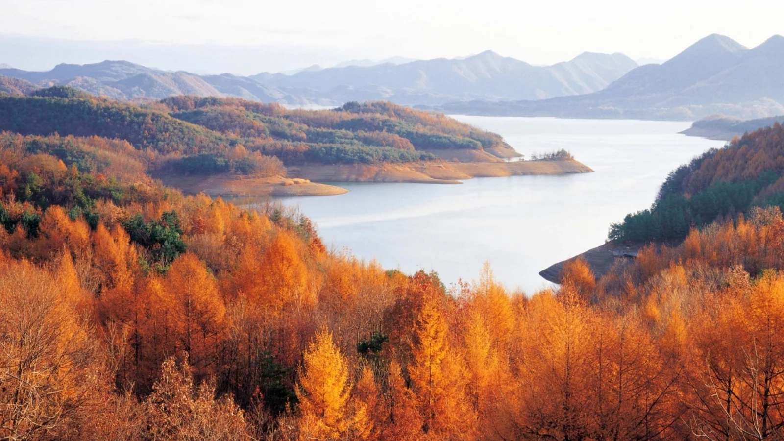 горизонт, осень, река, горы, деревья