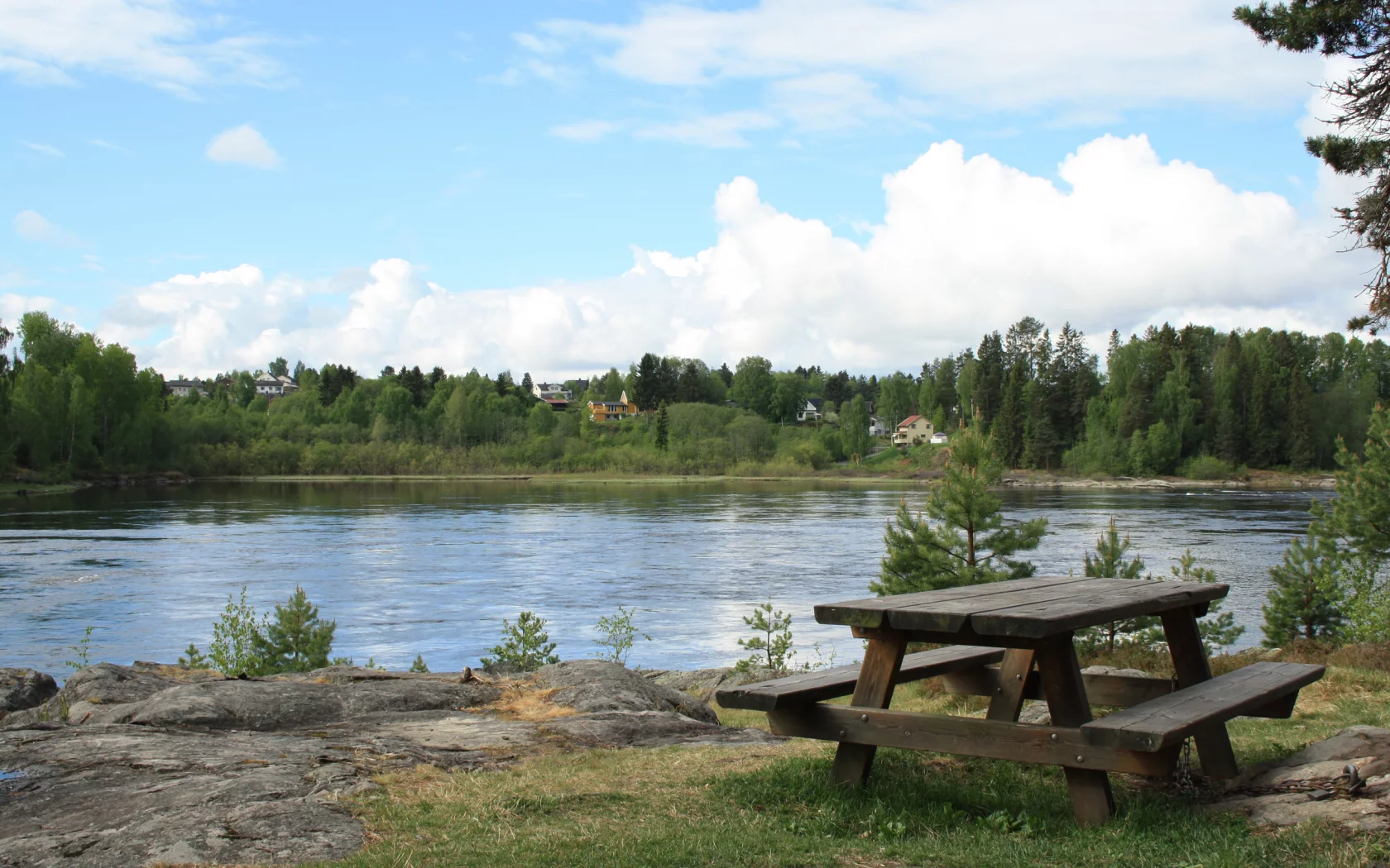 лес, трава, столик, вода, пейзаж, природа, дома, деревья, озеро, берег, стол